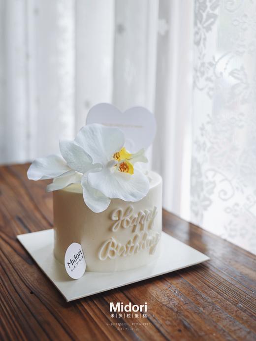 蝴蝶兰 | 纯白系 商品图1