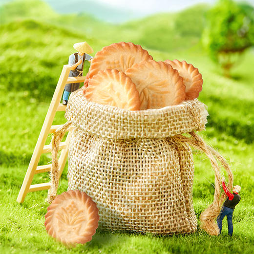 三牛万年青饼干香葱味酥性饼干 办公室休闲早餐零食 万年青 400g 商品图2