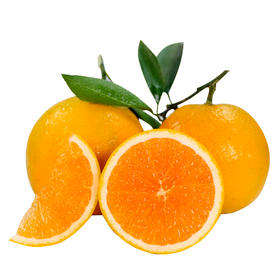 【助农】山水龙城秭归九月红脐橙净重9斤新鲜现摘（大果果径：75mm及以上）