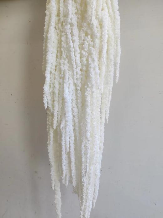 【干花】吊米  5枝/扎 多色可选 商品图2