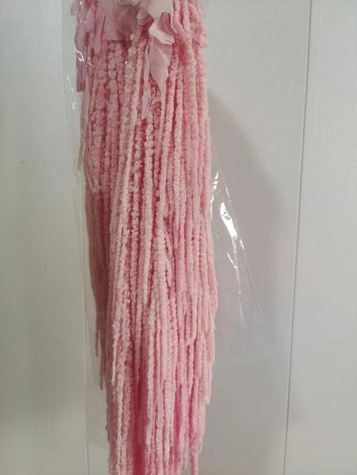 【干花】吊米  5枝/扎 多色可选 商品图4