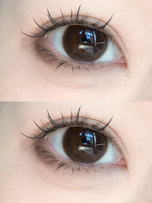 Laseecon年抛·乖巧·14.2mm中等着色·韩产2片 商品图4