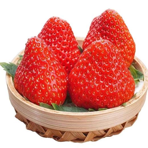 丹东有机草莓自然生长不催熟无农残2/3斤【顺丰包邮】有机认证 商品图1
