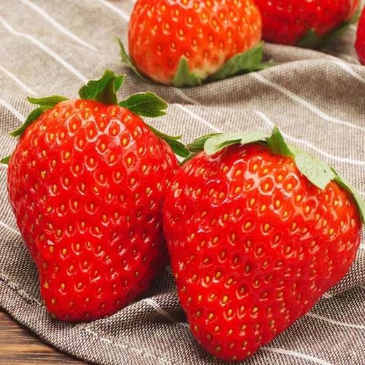 丹东有机草莓自然生长不催熟无农残2/3斤【顺丰包邮】有机认证 商品图2