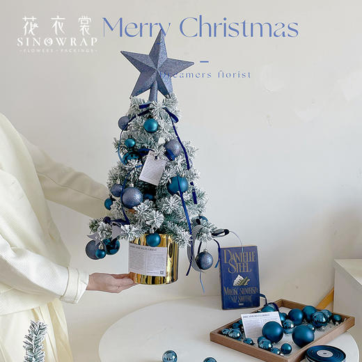 圣诞球系列-电镀吊球混球-礼盒款 商品图6