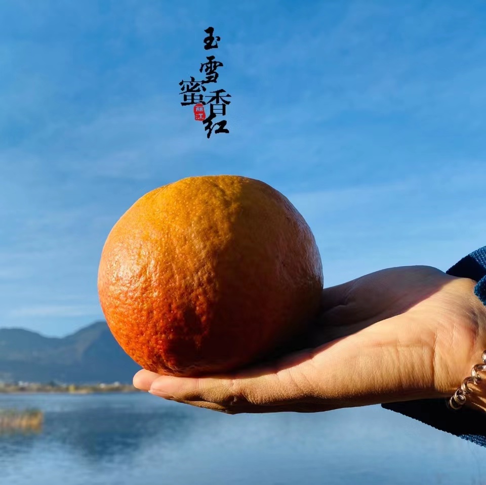 【云南玉雪蜜香红梨】又叫木梨 深山现摘现发 酸甜可口 清爽多汁 外皮黄中带红 颜色亮丽 4种规格任选