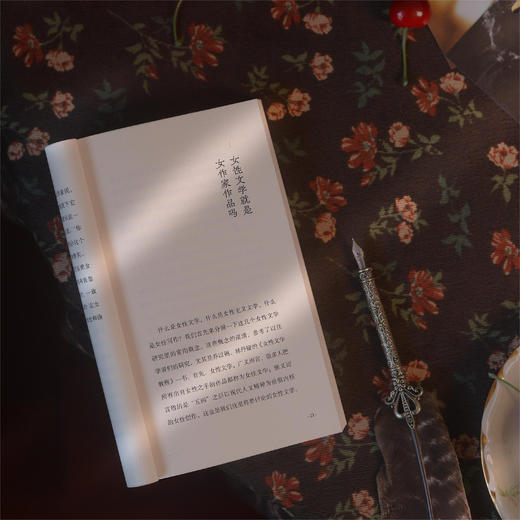 后浪新书 我看见无数的她 跟女孩们聊文学和电影的30个夜晚 商品图5