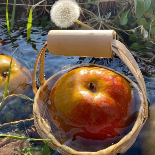 【云南玉雪蜜香红梨】又叫木梨 深山现摘现发 酸甜可口 清爽多汁 外皮黄中带红 颜色亮丽 4种规格任选 商品图1