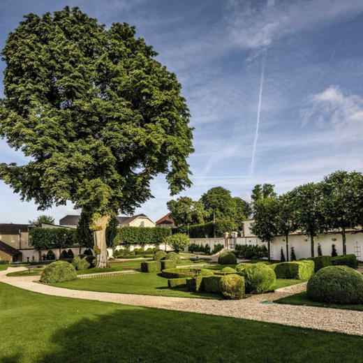 沙龙贝尔珍藏天然型香槟 NV  Billecart Salmon Brut Reserve NV 商品图4