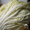 生态翠玉大白菜 | 合作生产* Ecological emerald Chinese cabbage  | Coproduction 商品缩略图4