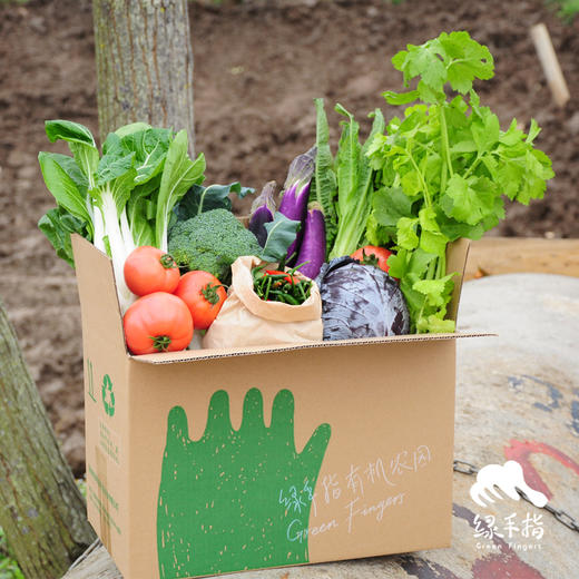 【华东仓】单人蔬菇豆蛋一年份额（客服打电话确认后发货） | 绿家自产* EcoFresh Yearly | In-House Production 商品图4