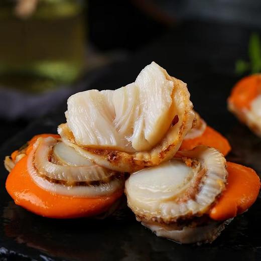 【冻品】北城扇贝肉 一斤30-35个左右 商品图1