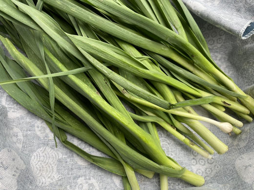 【小菜园露天种植】大蒜叶（带少量泥）500g 商品图2