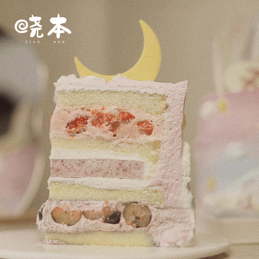 射手座生日蛋糕｜日月星辰 商品图1