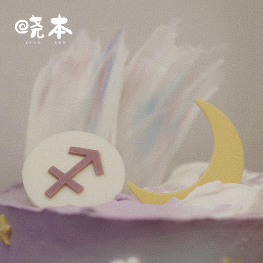 射手座生日蛋糕｜日月星辰 商品图4