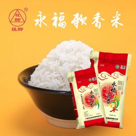 桂柳~永福软香米