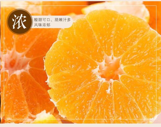 江西赣南脐橙（含箱重量）10斤装彩箱（截单后48小时内陆续发货~） 商品图4