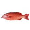 东星斑 (三去) Miniatus Grouper 400g-600g 商品缩略图0