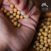 有机黄豆 | 合作生产*Organic Soybea | Coproduction 商品缩略图1