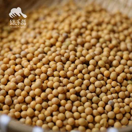 有机黄豆 | 合作生产*Organic Soybea | Coproduction 商品图3