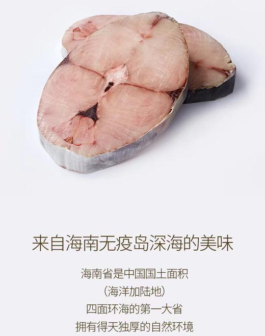 琼中美味海南深海马鲛鱼3斤装礼盒 商品图4