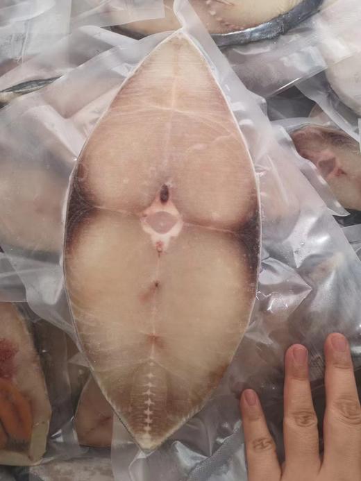 琼中美味海南深海马鲛鱼5斤礼盒装 商品图4