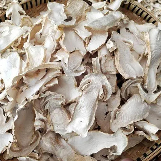 茂兰山语赤松茸 100g 商品图3