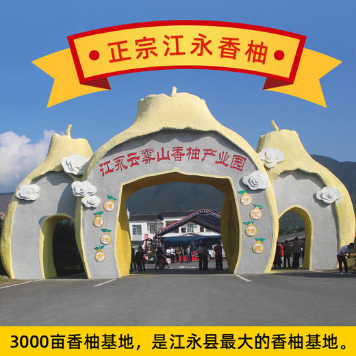 【“柚”爱在一起 】正宗江永云雾山和百年香柚柚子水果新鲜绿色食品富硒纯甜28~30斤 商品图1