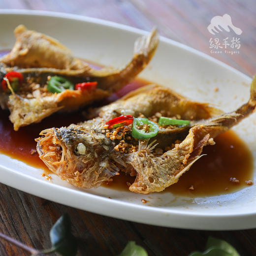 野生东山岛黄花鱼| 合作生产 * Wild yellow croaker | Coproduction 商品图3