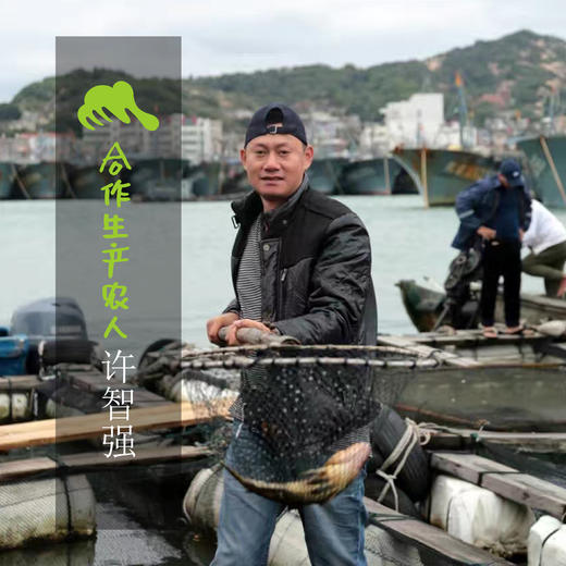 野生东山岛海钓午鱼（海钓鱼，嘴里可能有鱼钩，大家注意！！介意慎拍）| 合作生产 * Wild Eleutheronema tetradactylum | Coproduction 商品图1