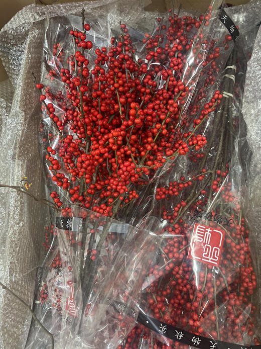 【天物A级】国产冬青/富贵子  多规格 商品图14