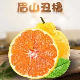【快递停发，2月26日陆续发货】【四川·眉山】丑橘不知火 精选橘子大果 当心新鲜橘子水果