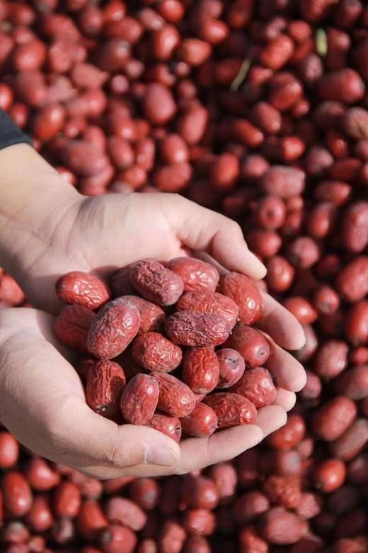 2025 首批正宗的若羌无农残灰枣 2斤装，甜蜜又瓷实，很绵密，比市面其他枣干度都更好✔️ 这种枣子肉厚！更瓷实 商品图4