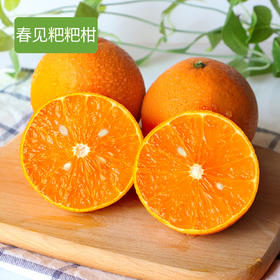 【快递停发，2月26日陆续发货】【四川·浦江】春见 粑粑柑 精品橘子 当季新鲜水果