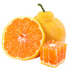 【快递停发，2月26日陆续发货】【四川·眉山】丑橘不知火 精选橘子大果 当心新鲜橘子水果 商品缩略图11