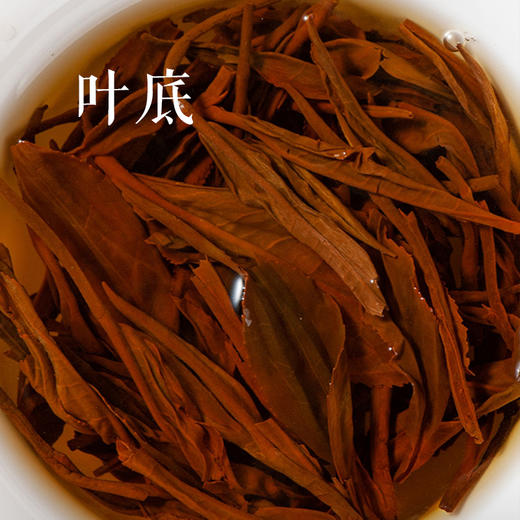 红茶 | 凤宁号 升级款新经典58滇红茶 古树红茶 380g 商品图3