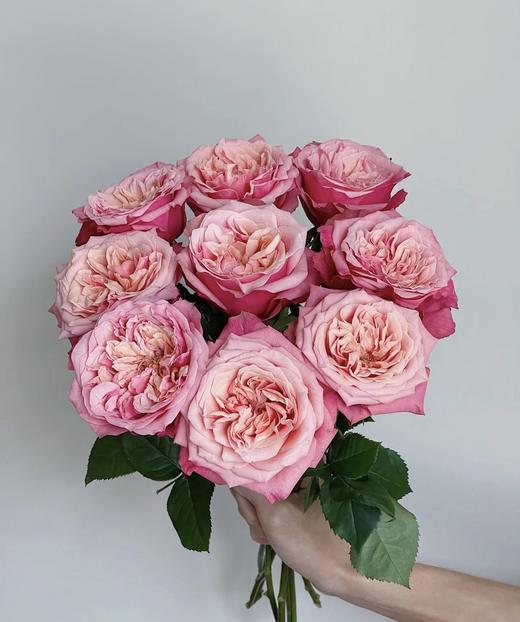 【秒杀福利】闺蜜 20枝 商品图0