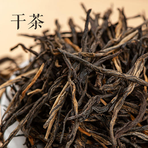 红茶 | 凤宁号 升级款新经典58滇红茶 古树红茶 380g 商品图2