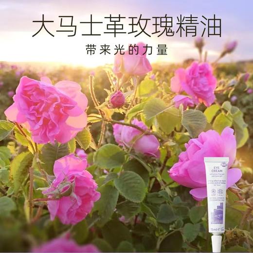 雅琪朵：小米草绿泥眼霜15ml 抚平纹路 焕亮双眸 商品图5