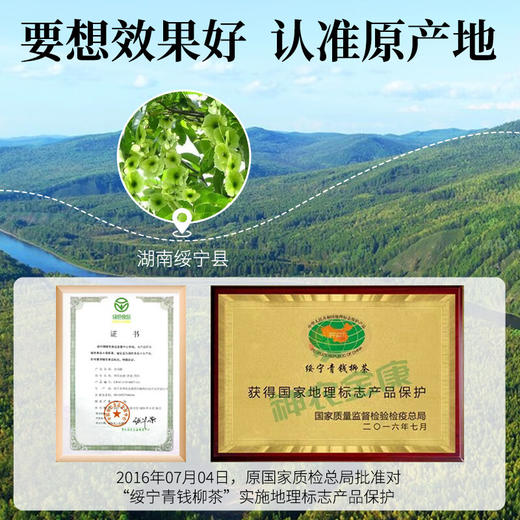神农金康 古树芽叶青钱柳茶50克  原生态真滋补 喝护家人健康 商品图1