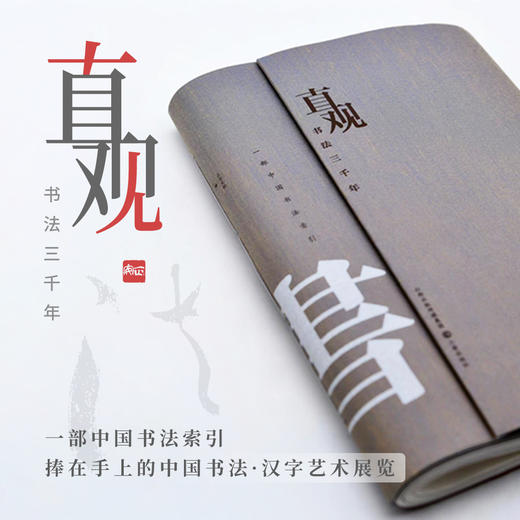 《直观书法三千》+配套100讲音频  正安文房10周年倾情回馈 一本中国审美的入场券 商品图2