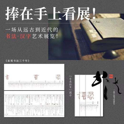《直观书法三千》+配套100讲音频  正安文房10周年倾情回馈 一本中国审美的入场券 商品图7