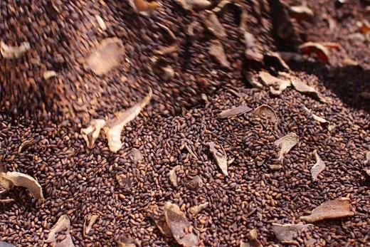 云南 陈皮姜米  500g*2 商品图1