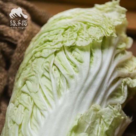 生态大白菜（河北，申通快递） | 合作生产 *Eco- Chinese cabbage | Coproduction 商品图2