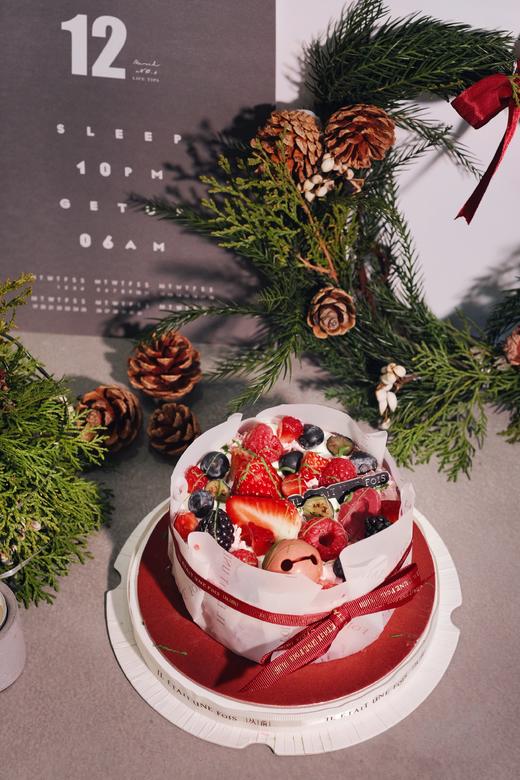 圣诞莓果巴斯克 商品图4