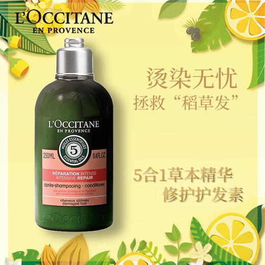 欧舒丹（L'OCCITANE）5合1草本精华菁纯修护护发素250ml 修护干枯毛躁分叉丰盈蓬松 117656/117657 商品图2