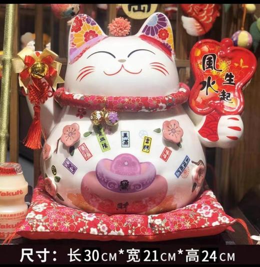 9寸加大号招财猫存钱罐开业礼生日礼物摆件家居创意陶瓷 商品图1