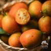 生态金桔  | 合作生产 * Ecological Kumquat  | Coproduction 商品缩略图1