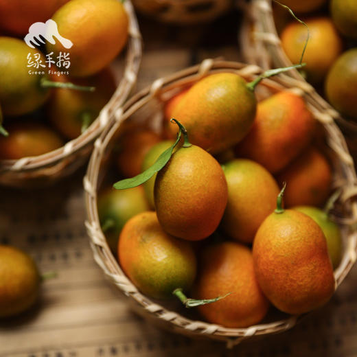 生态金桔  | 合作生产 * Ecological Kumquat  | Coproduction 商品图3
