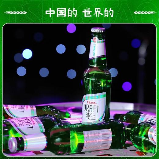 【肖战同款】青岛啤酒 纯生系列316ml*24瓶 商品图1